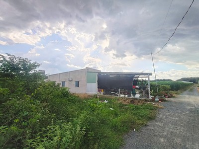 Đất vuông hxt 125m2  55m2 ont    kênh đông tn 1