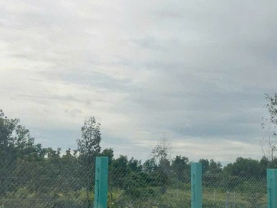 Đất nở hậu đường 8m thông 1851m2   cây gỗ cc 1