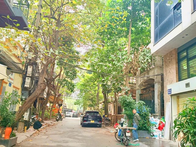 Ô tô tránh, mặt ngõ kinh doanh phố trần quang diệu 54m  x 6t x mt 4.1m   20,4 tỷ 0