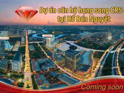 Bảng giá dự án the regency phú mỹ hưng 0901323786 ms mỹ linh pkd phú mỹ hưng 3