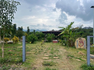 Đất thổ cư sân vườn sẵn sầu riêng đang thu đẹp tại QL55 phường 3, Lâm Đồng, 799 triệu, 310m2 2
