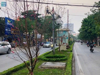 Biệt thự lạc long quân, 93m, 5 tầng, oto ngủ trong nhà, vài bước caffe hồ tây lộng gió 3