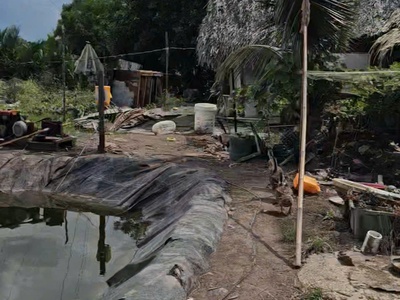 Chính chủ đứng bán lô đất tại xã bình khánh, huyện cần giờ, tp hồ chí minh. 4