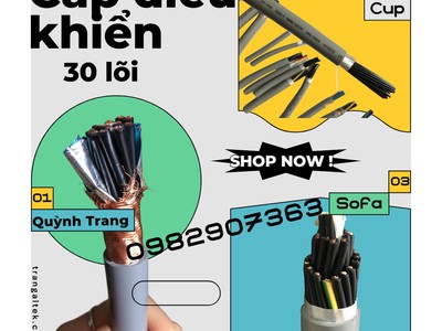 Cáp Điều Khiển 30 Lõi Altek Kabel   Giải Pháp Truyền Tín Hiệu Ổn Định 2