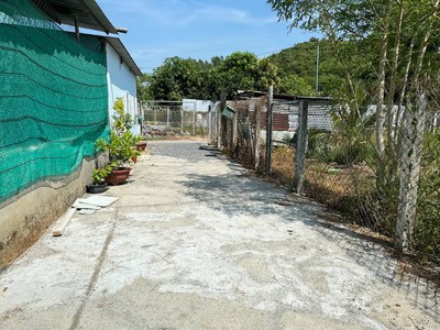 Bán lô đường tổ 4 diên lạc đường ô tô giá chỉ 820tr  tl 4