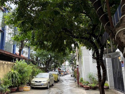 Nhà hẻm thông dân trí cao  an ninh tốt 0