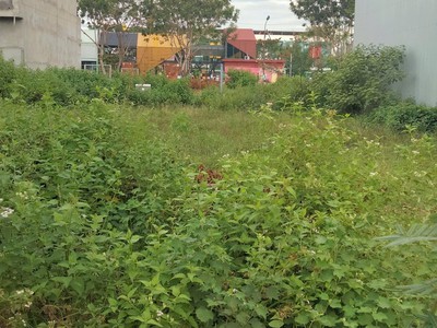 Đất đẹp 125m2, đường 7m5 khu a golden hill, gần nguyễn tất thành, liên chiểu - chỉ 2.98 tỷ 0
