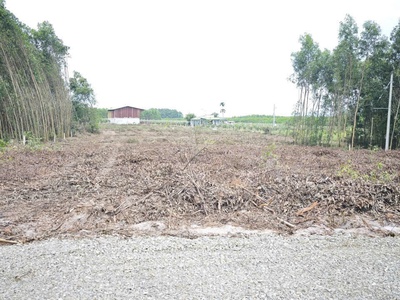 Bán 1033m2 đất odt tân phước - tx lagi giá ngộp 950 triệu sổ riêng 1