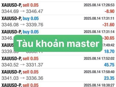 Lợi nhuận tài khoản Cent sau hơn 1 tháng Copy 0
