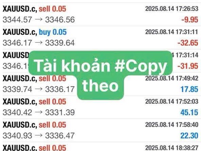 Lợi nhuận tài khoản Cent sau hơn 1 tháng Copy 1