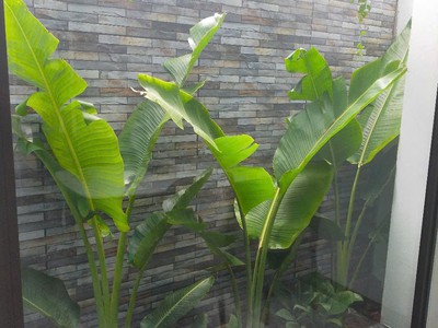 Bán nhà ngõ phố Phan Chu Trinh, Tây Hải Phòng, 50m2, 3 tầng, 3 ngủ, mặt tiền 4m, chỉ 2.17 tỷ 6