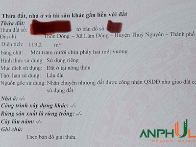 Chính chủ gửi bán lô đất mặt trục chính phường Thiên Hương   xã Lâm Động , TP Hải Phòng 4