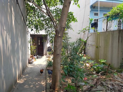 Giá Rẻ, Bán Đất Ngõ 264 Ngọc Thụy, Long Biên, 150m2, MT6.6m, Phân Lô, Ô TÔ, Kinh Doanh 2