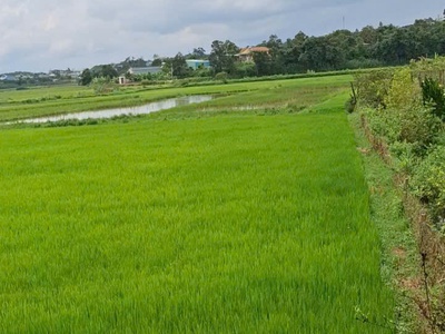 Cần bán gấp lô đất homstay - vị trí tại : đường ngô quyền -  phường pleiku - tỉnh gia lai 1