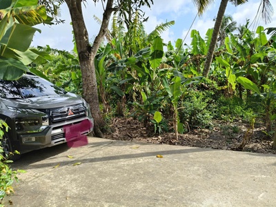Bán gấp lô đất 2.460m  full thổ   đường ô tô   sổ riêng   giá chỉ 3,678 tỷ 0