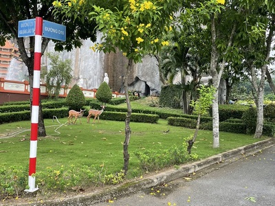 Chuyển nhượng đất mộ phần, công viên nghĩa trang cao cấp phúc an viên, đuờng số 35 khu phố long hoà 0