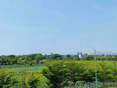 nhà ngay trung tâm phố biển phan rang    mà giá chưa tới 2 tỷ   3
