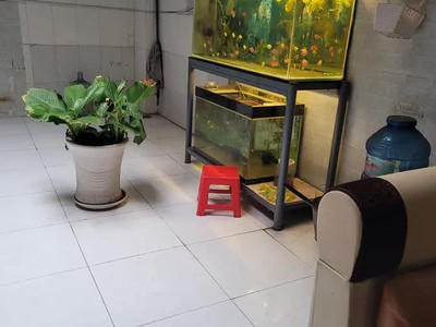 Mặt tiền kinh doanh  vip đường số 11 bình tân, 96m2, 4 tầng, 4pn, sổ hồng  chính chủ - giá chỉ hơn 3