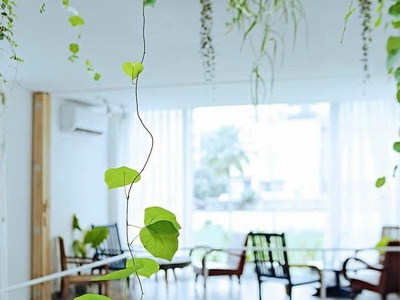 Sang quán Cafe   tổ chức sự kiện tại Ngô Thời Nhiệm Q3 3