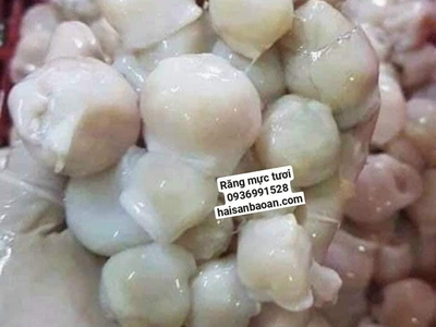 NƠi bán răng mực vip ngon tuyển chọn 0