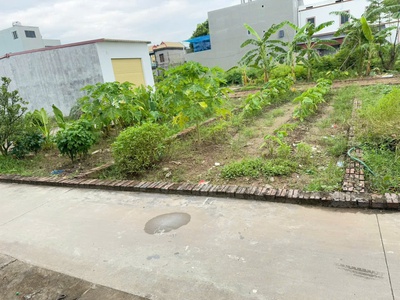 Chính chủ cần tiền gửi bán mảnh đất tại tổ 9 quang minh, mê linh. tiện ích ngập tràn 1