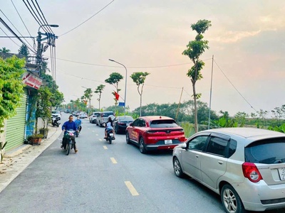 Bán đất cách mặt đường nhựa 100m, vỉa hè 4m, kinh doanh đỉnh, 2
