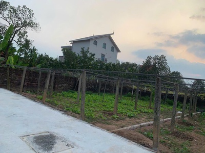Bán đất cách mặt đường nhựa 100m, vỉa hè 4m, kinh doanh đỉnh, 1
