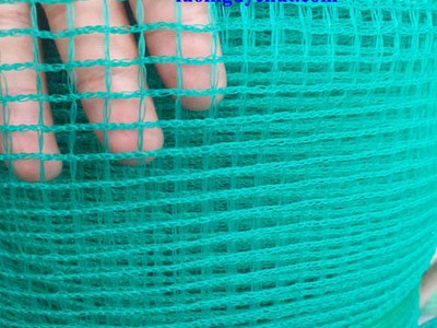 Vó lưới cất cá nguyễn út 0
