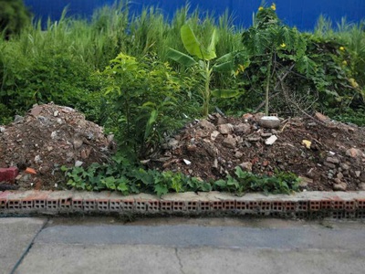 Đất vuông đẹp hẻm xe tải 100m2   thạnh xuân 47 q12 0