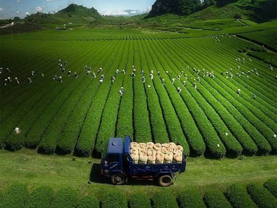 Chính chủ cần bán lô đất rộng đẹp   phường thảo nguyên - mộc châu 1