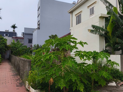 Bán lô đất mặt đường khu phân lô tđc nam hải, hải phòng   vị trí đắc địa, tiềm năng sinh lời cao 2
