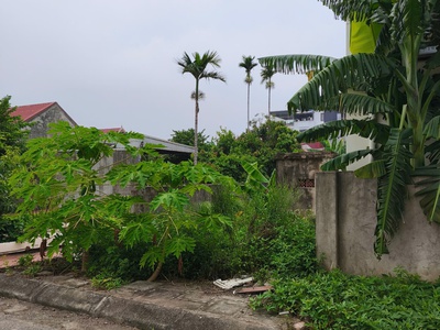 Bán lô đất mặt đường khu phân lô tđc nam hải, hải phòng   vị trí đắc địa, tiềm năng sinh lời cao 3