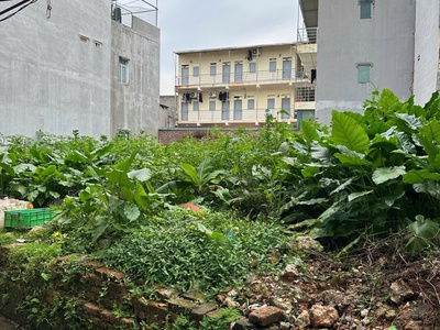 Bán lô đất 96m2 full thổ cư tại làng my điền 1 - xã hoàng ninh - việt yên - bắc giang. 1