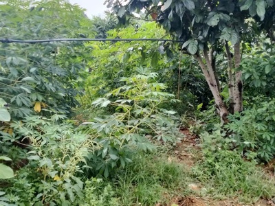 Chính chủ bán lô đất đẹp 2920,3m tại từ sơn-kim bôi hòa bình 2