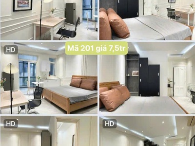 Cho thuê căn hộ cao cấp khu vực quận 7, tp.hcm 0