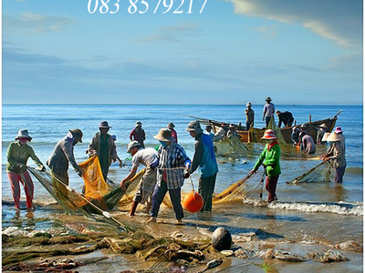 Lưới rùng kéo cá nguyễn út 3