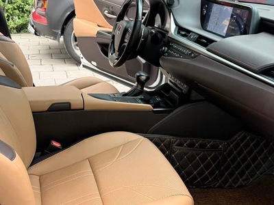 Bán Lexus ES250 Model 2020, 1 chủ, xe siêu mới. 9