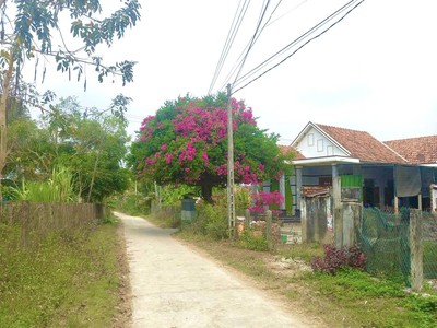 Bán gấp lô đất thổ cư, nằm ngay mặt tiền đường xã ninh thân, ninh hòa   giá chỉ 500 triệu 2