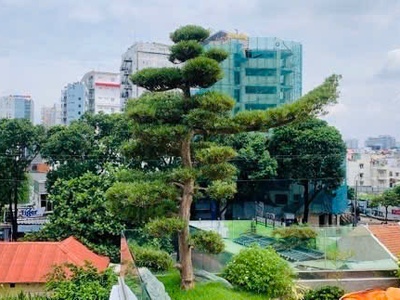 Biệt thự sân vườn   hồ cá koi   5 tầng thang máy   khu vip q3. 4