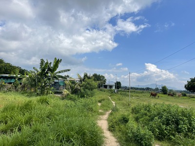 Bán 2000m2 đất thổ cư lô 2 lê quang định, tx lagi giá ngộp 1 tỷ/ sào gần biển 2