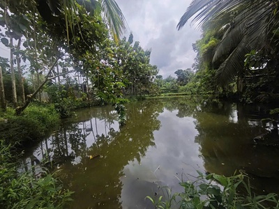 Chính chủ cần bán gấp lô đất kèm nhà có vị trí đẹp  xã phú vinh - huyện định quán-  tỉnhđồng nai 1