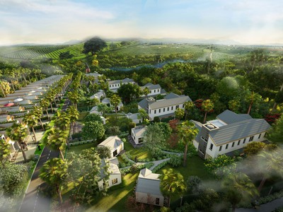  Sun Valley - Đồi chè view đẹp   Sổ riêng từng nền từ 200m   1