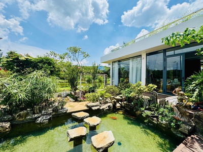  Sun Valley - Đồi chè view đẹp   Sổ riêng từng nền từ 200m   2