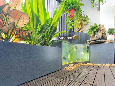 Bể Cá Composite Đúc Nguyên Khối   Thẩm Mỹ   An Toàn Tuyệt Đối 1
