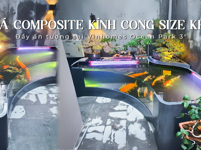 Bể Cá Composite Đúc Nguyên Khối   Thẩm Mỹ   An Toàn Tuyệt Đối 2