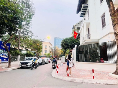 Bán biệt thự vip phố trường chinh, lô góc, vỉa hè, gara, ô tô tránh, kinh doanh, an sinh tuyệt vời. 1