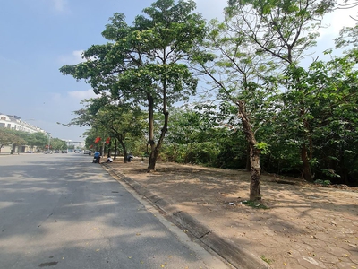 Đấu giá xã thuận an, hà nội. lô góc 91m2 siêu đẹp, giá đầu tư. lh 0989894845 1