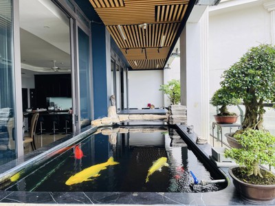 Đỉnh Cao Sống Thượng Lưu - Penthouse 500m  Aqua Central Trúc Bạch, Giá 105 Tỷ 0