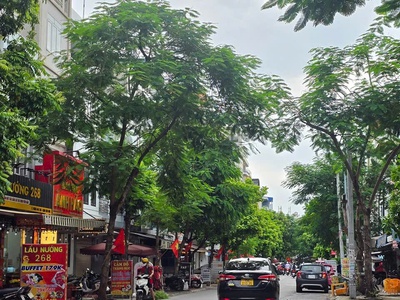 Cơ hội đầu tư: Nhà mặt đường Hoàng Minh Thảo, Lê Chân. Cho thuê 10tr/tháng   giá 5,9 tỷ 1
