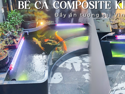 Bể Cá Composite Kính Cong   Nghệ Thuật Uốn Lượn Giữa Lòng Nhà Bạn 0